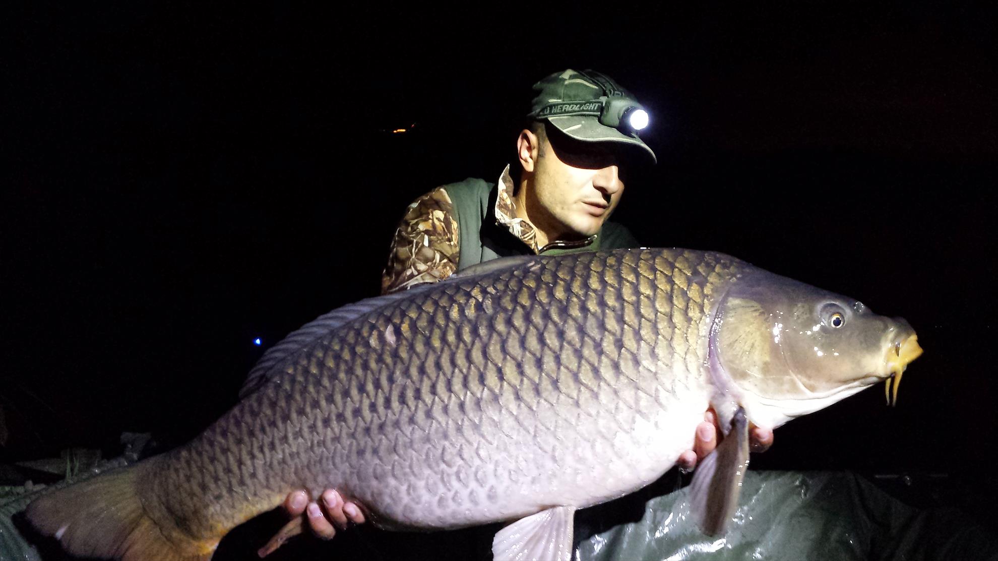 PILHAN - 20130928024207.jpg